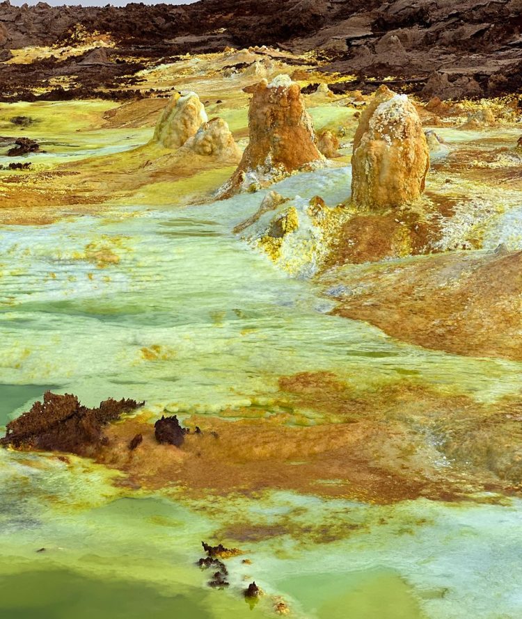 WhatsApp Image 2025-04-16 at 7.43.46 PM